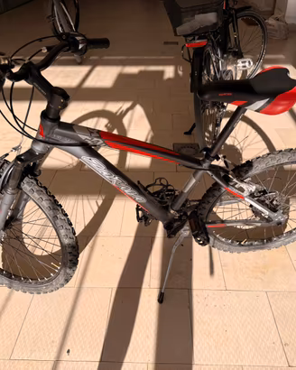 Mountain bike