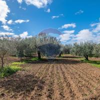 Terreno - Caltagirone