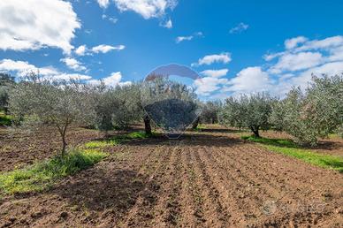 Terreno - Caltagirone