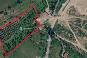 Terreno agricolo con uliveto e frutteto