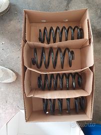 Molle eibach golf 6