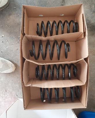 Molle eibach golf 6