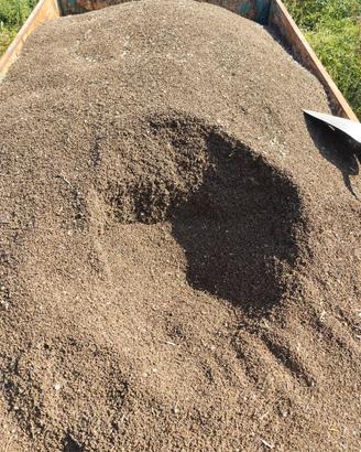 Semi di Sulla comune, Sulla coronaria