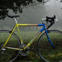 Bici da corsa Pennarola M