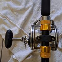 Mulinelli penn senator