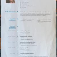 Addetta alle pulizie. Badante diurna