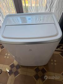 Condizionatore (pinguino)