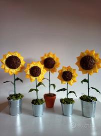 girasoli al profumo di caffè o chiodi di garofano