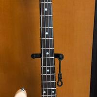 Basso sterling music man