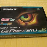 Scheda video GeForce 210 Nvidia 1G DDR3 silent