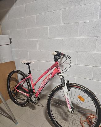 MTB Atala