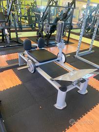 Hip thrust/gluteus machine/isotonico