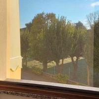 Zanzariere a rullo per finestre