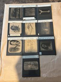 Diapositive vetro antiche