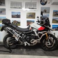 triumph tiger rally pro 