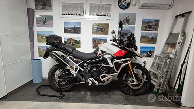 triumph tiger rally pro 
