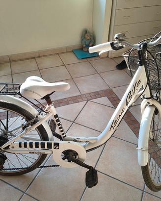 bicicletta 