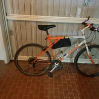 Bicicletta Mountain Bike Legnano Archas