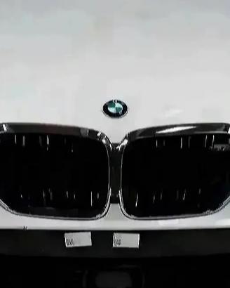 BMW X5M F95 Muso Paraurti Fari Radiatori