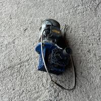 Motore elettrico per coclea