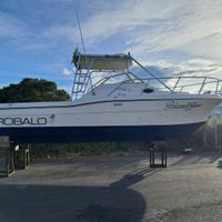 Robalo 2660