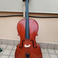 violoncello 3/4 da studio