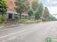 Immagine 20