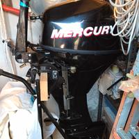 Motore Mercury 9.9 cv Bigfoot del 2013