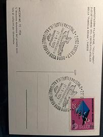 I1138 cartolina celebrativa 1973