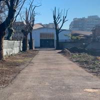 Capannone con area esterna