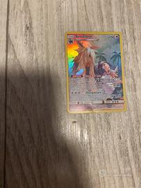 Stoutland trainer gallery