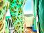 Immagine 28