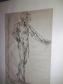 Disegno china su carta originale