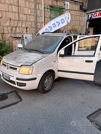 Panda 1.4 Dynamic Natural Power Mamy