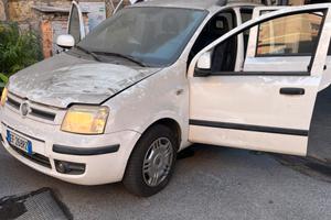 Panda 1.4 Dynamic Natural Power Mamy