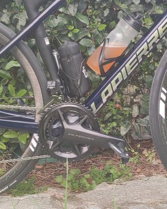 CAMPAGNOLO BORA WTO 33