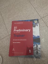 B1 preliminary for schools trainer