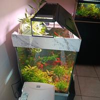 acquario juwel lido 120