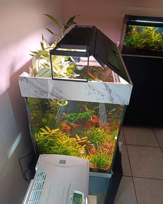 acquario juwel lido 120