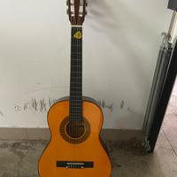 Chitarra acustica 