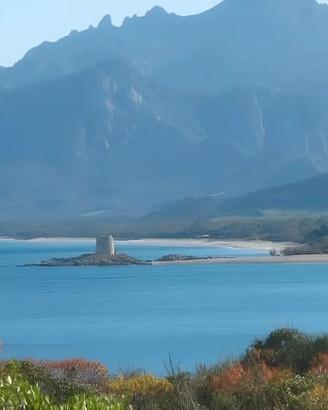 Il tuo angolo di paradiso low-cost: Mare, Pineta e