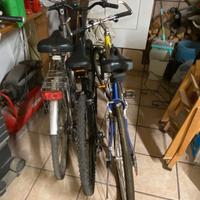 N. 3 biciclette