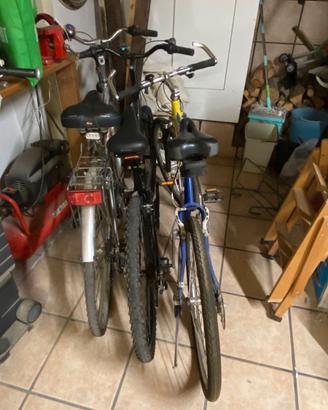 N. 3 biciclette