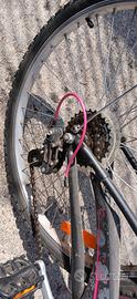 bicicletta ragazza
