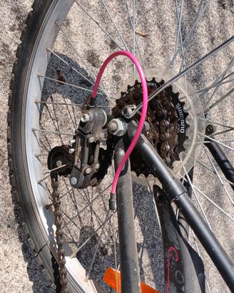 bicicletta ragazza