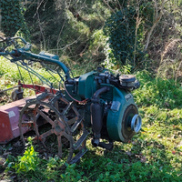 Motocoltivatore Goldoni 719