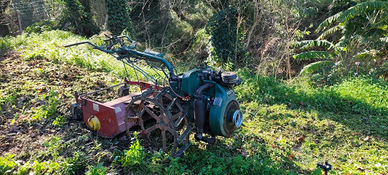 Motocoltivatore Goldoni 719