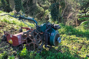 Motocoltivatore Goldoni 719