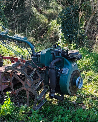 Motocoltivatore Goldoni 719