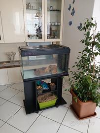 acquario 